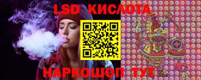дживик Шелехов