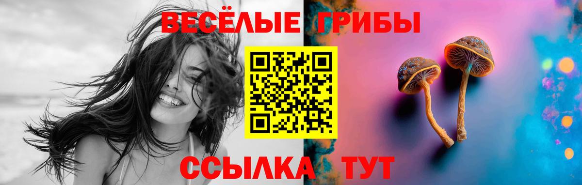Галлюциногенные грибы ЛСД Алексеевка